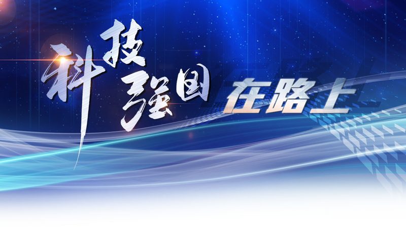 屋顶与地下室的“隐形护甲”：不同防水卷材如何选对